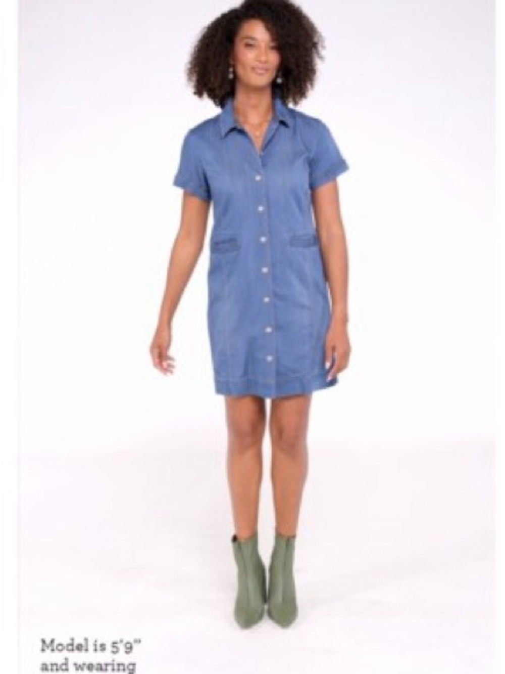 CAbi Piece of Cake Denim Dress
